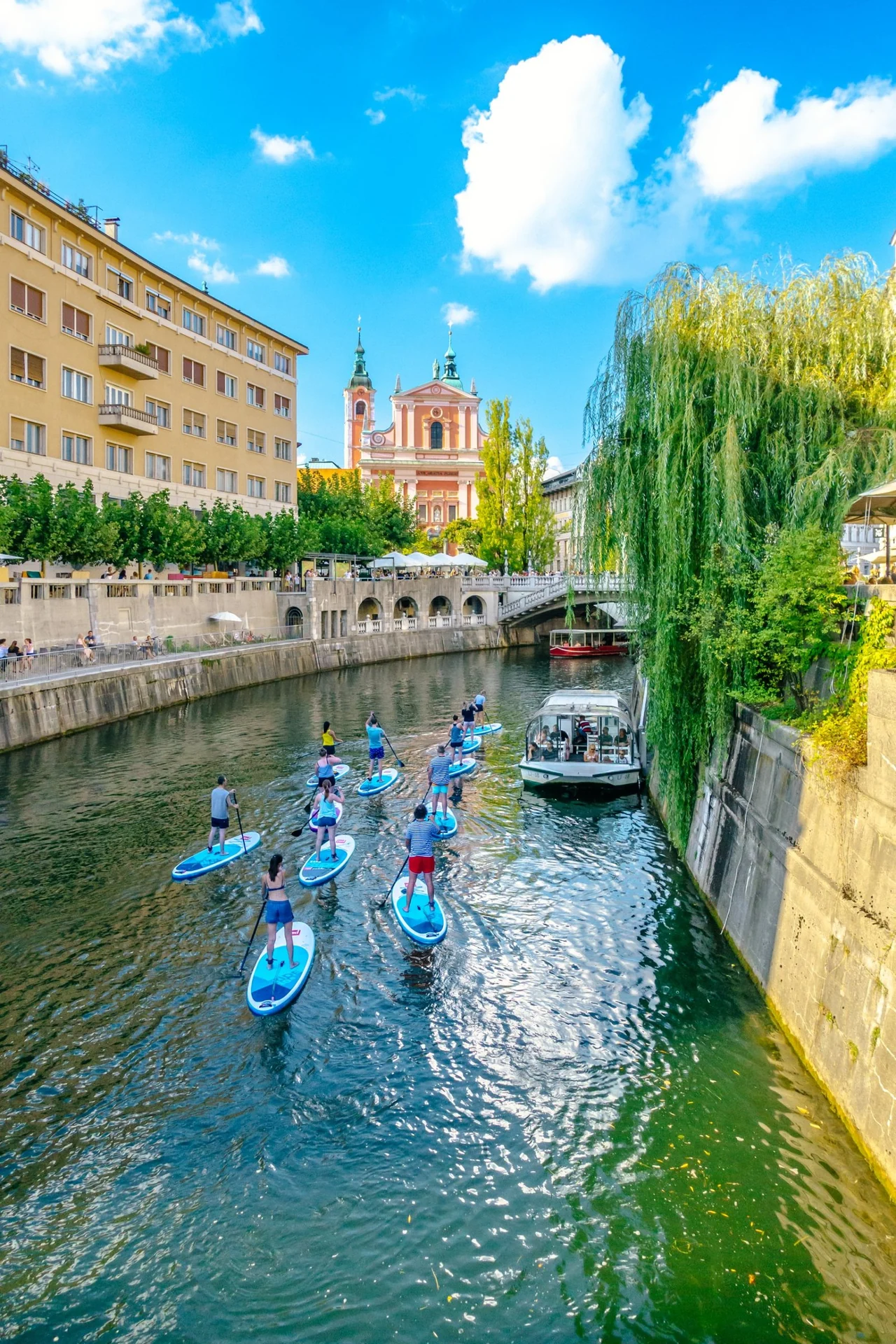 Paddleboarders gliding down the Ljubljanica river beneath weeping willows toward the pink Franciscan Church in Ljubljana
